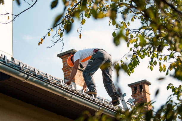 Best Roof Leak Repair  in North Vernon, IN