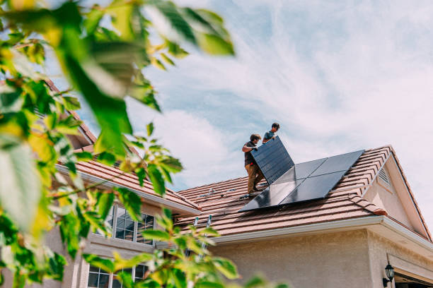 Best Roof Moss and Algae Removal  in North Vernon, IN